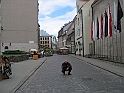 Obraz 012